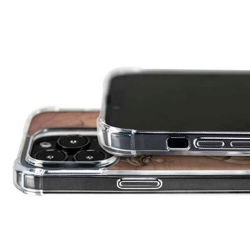 Dragon Parchment by Tom Wood iPhone 16 Pro MagSafe Case